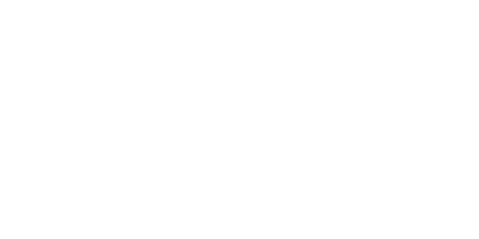 Cryptorino logo