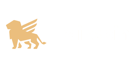 Fairspin logo