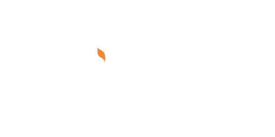 NairaBet logo