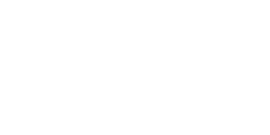 Vaidebet logo