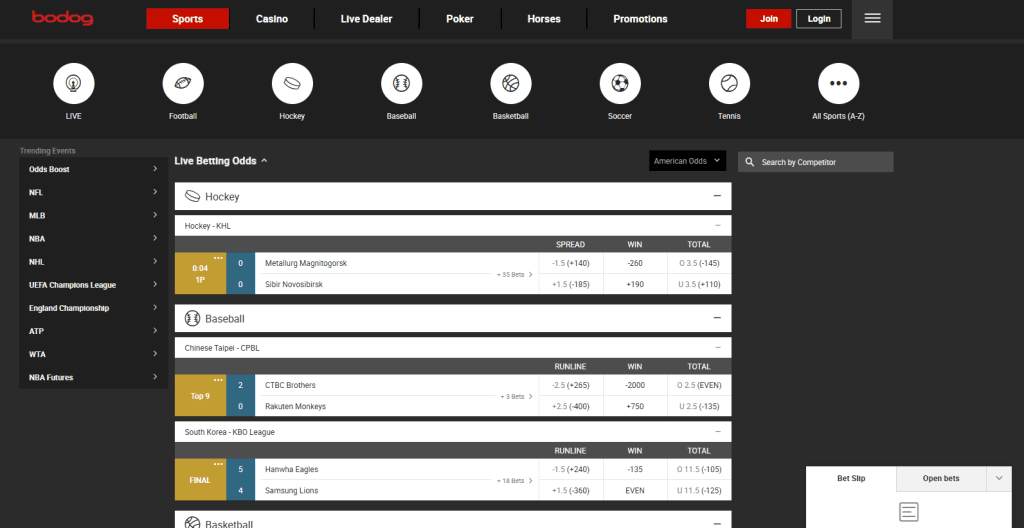 Bodog - Image 2