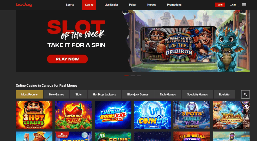Bodog - Image 3