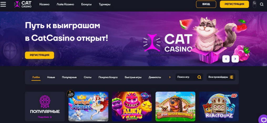 CatCasino - Image 2